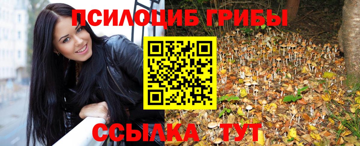 Псилоцибиновые грибы мицелий  Галлюциногенные грибы Cubensis  купить наркотик  Вход с VPN  Хасавюрт 