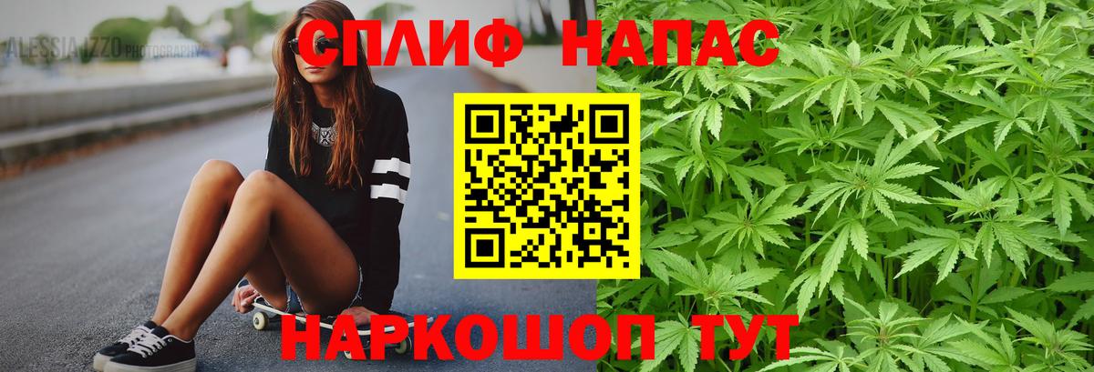 Конопля тримм Хасавюрт
